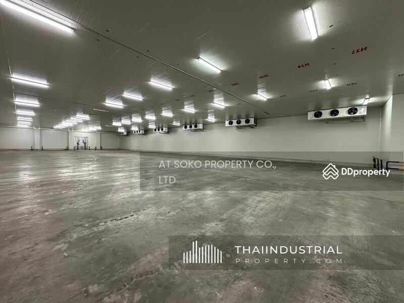 โกดังให้เช่า โรงงานให้เช่า ขายโกดัง ขายโรงงาน 4000 ตรม บางเพรียง, บางบ่อ, สมุทรปราการ (ID: AT1630SR), สมุทรปราการ, บางเพรียง, บางบ่อ, สมุทรปราการ, 4,000 ตร.ม., โกดัง-โรงงาน ให้เช่า, โดย AT SOKO PROPERTY CO., LTD, 11423529 - DDproperty.com