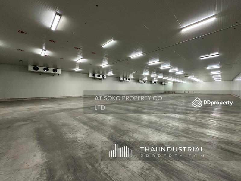 โกดังให้เช่า โรงงานให้เช่า ขายโกดัง ขายโรงงาน 4000 ตรม บางเพรียง, บางบ่อ, สมุทรปราการ (ID: AT1630SR), สมุทรปราการ, บางเพรียง, บางบ่อ, สมุทรปราการ, 4,000 ตร.ม., โกดัง-โรงงาน ให้เช่า, โดย AT SOKO PROPERTY CO., LTD, 11423529 - DDproperty.com