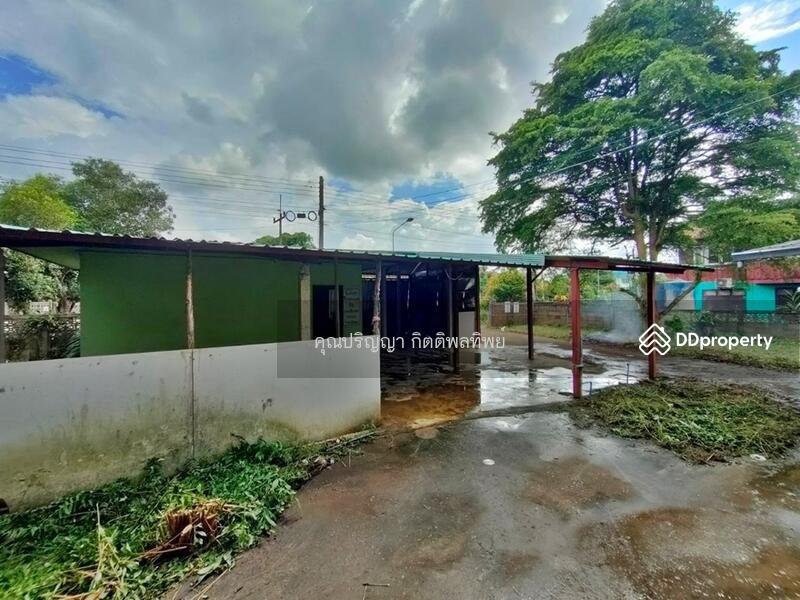 For Sale - Sale Land with Building 2-ST Wooden-Concrete House L4_4_0132_G01, Chiang Rai