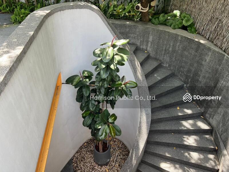 For Rent - Tree Villa Bangkok, Bangkok