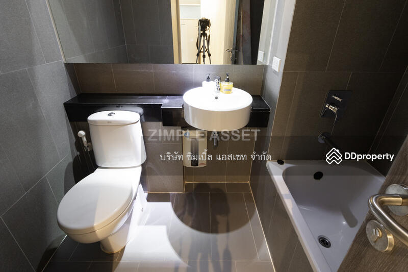 Studio Room 25 sqm Queen Bed