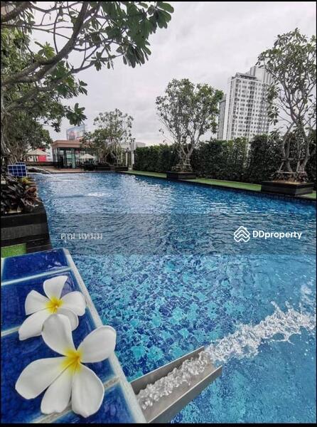 Supalai Monte at Viang, Chiang Mai, Super Highway, Wat Khet, Muang Chiang Mai, Chiang Mai, Studio, 33 sqm, Condo For Rent, by คุณ ธีรชาติ, 11425623 - DDproperty.com