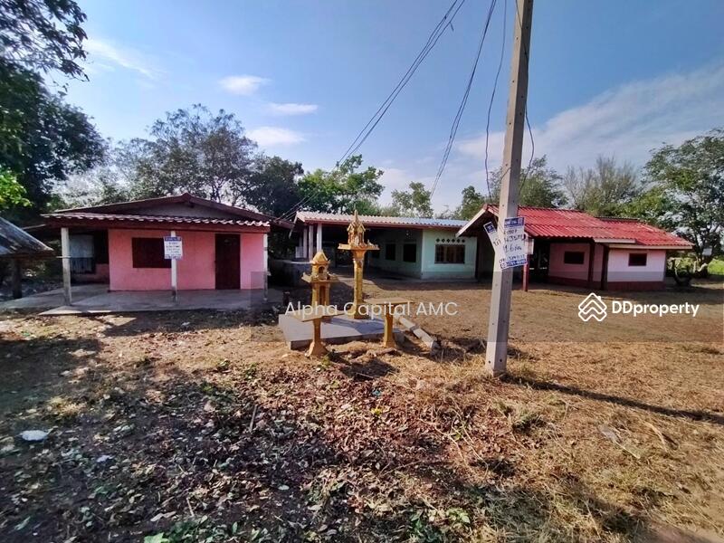 ขายที่ดิน พร้อมสิ่งปลูกสร้างชั้นเดียว L4_8_0207_G01, ชัยนาท, 146 ถนนบ้านหนองน้ำขุ่น-บ้านสระใหญ่, หนองน้อย, วัดสิงห์, ชัยนาท, 553 ตร.ม., บ้านเดี่ยว ขาย, โดย Alpha Capital AMC, 11425897 - DDproperty.com