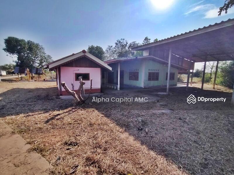 ขายที่ดิน พร้อมสิ่งปลูกสร้างชั้นเดียว L4_8_0207_G01, ชัยนาท, 146 ถนนบ้านหนองน้ำขุ่น-บ้านสระใหญ่, หนองน้อย, วัดสิงห์, ชัยนาท, 553 ตร.ม., บ้านเดี่ยว ขาย, โดย Alpha Capital AMC, 11425897 - DDproperty.com
