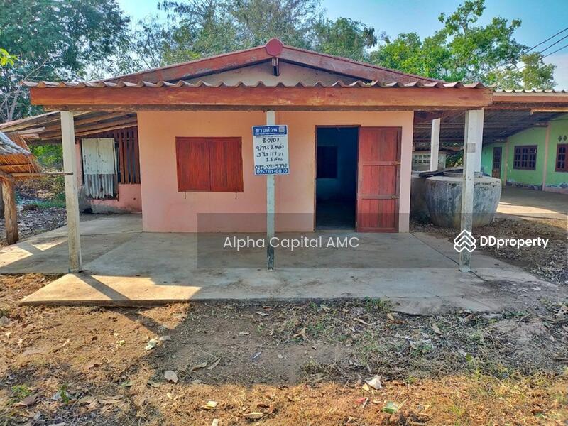 Sale Land with Building 1-ST L4_8_0207_G01, Chai Nat, 146 ถนนบ้านหนองน้ำขุ่น-บ้านสระใหญ่, Nong Noi, Wat Sing, Chai Nat, 6 Bedrooms, 553 sqm, Single Detached House For Sale, by Alpha Capital AMC, 11425897 - DDproperty.com