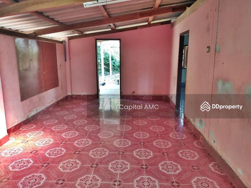 ขายที่ดิน พร้อมสิ่งปลูกสร้างชั้นเดียว L4_8_0207_G01, ชัยนาท, 146 ถนนบ้านหนองน้ำขุ่น-บ้านสระใหญ่, หนองน้อย, วัดสิงห์, ชัยนาท, 553 ตร.ม., บ้านเดี่ยว ขาย, โดย Alpha Capital AMC, 11425897 - DDproperty.com