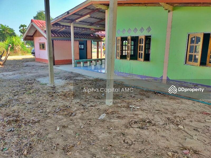 ขายที่ดิน พร้อมสิ่งปลูกสร้างชั้นเดียว L4_8_0207_G01, ชัยนาท, 146 ถนนบ้านหนองน้ำขุ่น-บ้านสระใหญ่, หนองน้อย, วัดสิงห์, ชัยนาท, 553 ตร.ม., บ้านเดี่ยว ขาย, โดย Alpha Capital AMC, 11425897 - DDproperty.com
