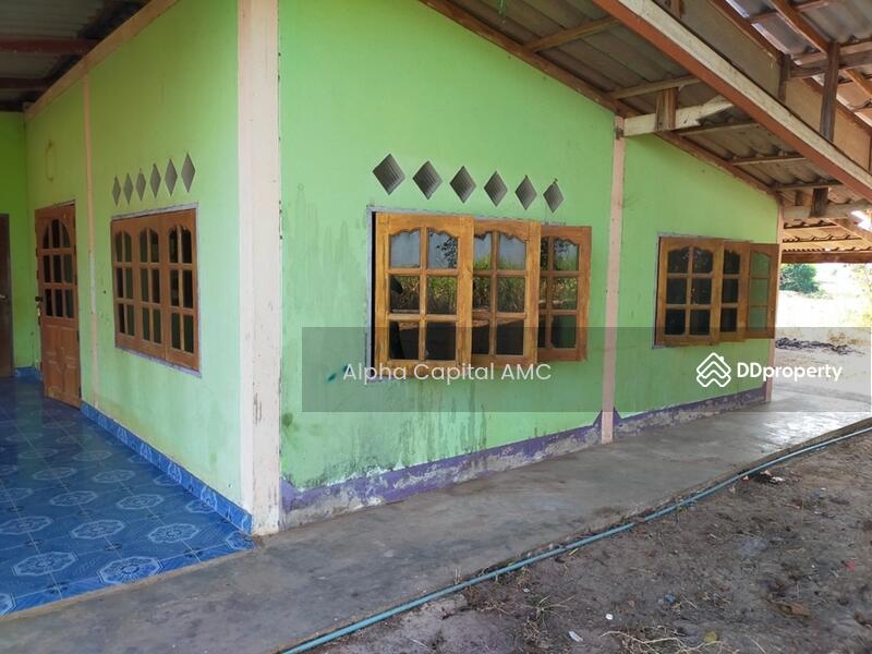Sale Land with Building 1-ST L4_8_0207_G01, Chai Nat, 146 ถนนบ้านหนองน้ำขุ่น-บ้านสระใหญ่, Nong Noi, Wat Sing, Chai Nat, 6 Bedrooms, 553 sqm, Single Detached House For Sale, by Alpha Capital AMC, 11425897 - DDproperty.com