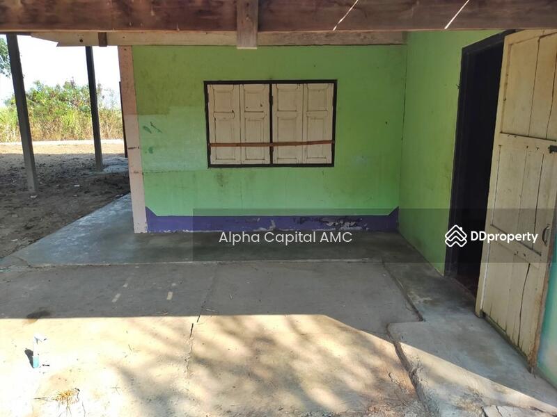 Sale Land with Building 1-ST L4_8_0207_G01, Chai Nat, 146 ถนนบ้านหนองน้ำขุ่น-บ้านสระใหญ่, Nong Noi, Wat Sing, Chai Nat, 6 Bedrooms, 553 sqm, Single Detached House For Sale, by Alpha Capital AMC, 11425897 - DDproperty.com