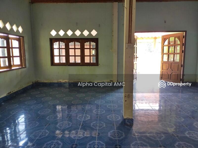 Sale Land with Building 1-ST L4_8_0207_G01, Chai Nat, 146 ถนนบ้านหนองน้ำขุ่น-บ้านสระใหญ่, Nong Noi, Wat Sing, Chai Nat, 6 Bedrooms, 553 sqm, Single Detached House For Sale, by Alpha Capital AMC, 11425897 - DDproperty.com