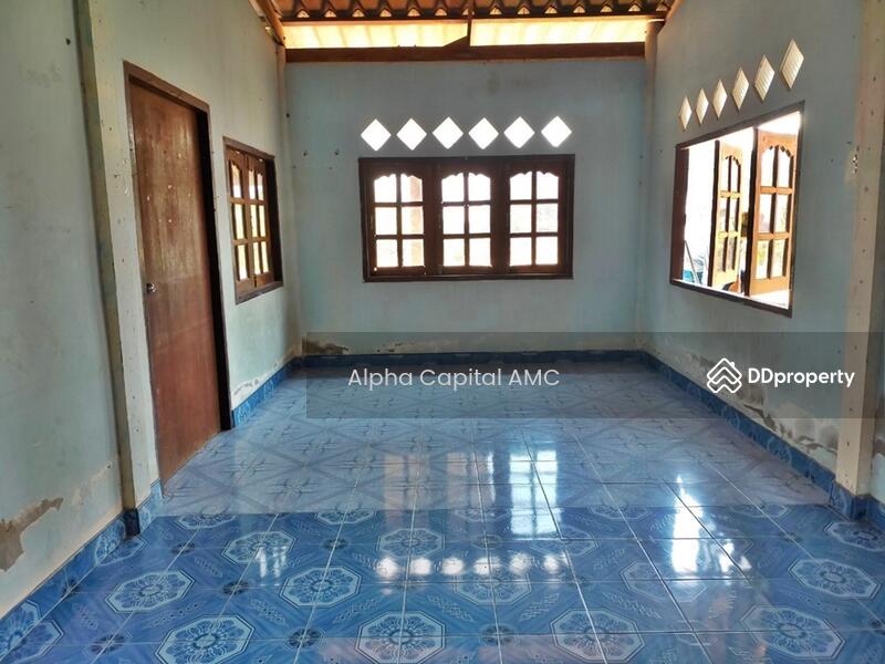 Sale Land with Building 1-ST L4_8_0207_G01, Chai Nat, 146 ถนนบ้านหนองน้ำขุ่น-บ้านสระใหญ่, Nong Noi, Wat Sing, Chai Nat, 6 Bedrooms, 553 sqm, Single Detached House For Sale, by Alpha Capital AMC, 11425897 - DDproperty.com