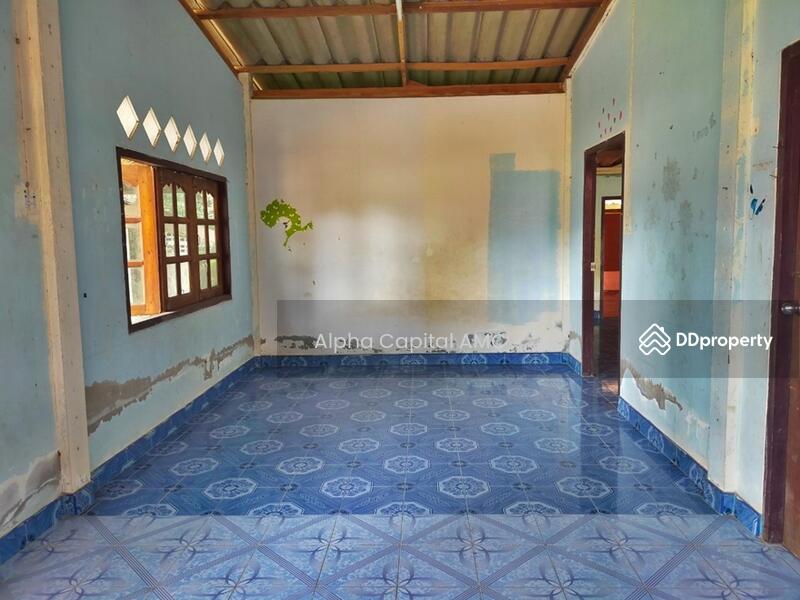 Sale Land with Building 1-ST L4_8_0207_G01, Chai Nat, 146 ถนนบ้านหนองน้ำขุ่น-บ้านสระใหญ่, Nong Noi, Wat Sing, Chai Nat, 6 Bedrooms, 553 sqm, Single Detached House For Sale, by Alpha Capital AMC, 11425897 - DDproperty.com