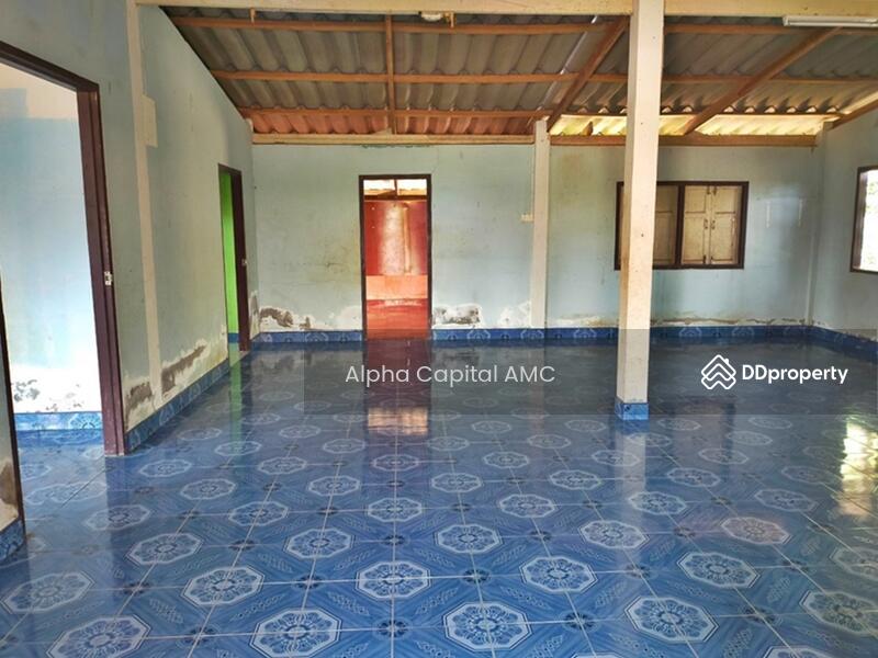 Sale Land with Building 1-ST L4_8_0207_G01, Chai Nat, 146 ถนนบ้านหนองน้ำขุ่น-บ้านสระใหญ่, Nong Noi, Wat Sing, Chai Nat, 6 Bedrooms, 553 sqm, Single Detached House For Sale, by Alpha Capital AMC, 11425897 - DDproperty.com