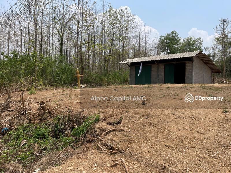 บ้านปูน 1 ชั้น L4_8_0565_G01, ลำปาง, แม่ถอด, เถิน, ลำปาง, 171 ตร.ม., บ้านเดี่ยว ขาย, โดย วารุณี จำรูญนุรักษ์, 11427189 - DDproperty.com