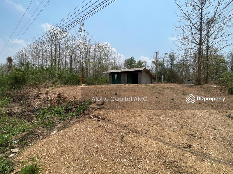 บ้านปูน 1 ชั้น L4_8_0565_G01, ลำปาง, แม่ถอด, เถิน, ลำปาง, 171 ตร.ม., บ้านเดี่ยว ขาย, โดย วารุณี จำรูญนุรักษ์, 11427189 - DDproperty.com
