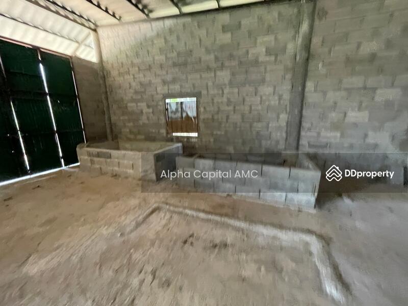 บ้านปูน 1 ชั้น L4_8_0565_G01, Lampang, Mae Thot, Thoen, Lampang, Studio, 171 sqm, Single Detached House For Sale, by วารุณี จำรูญนุรักษ์, 11427189 - DDproperty.com