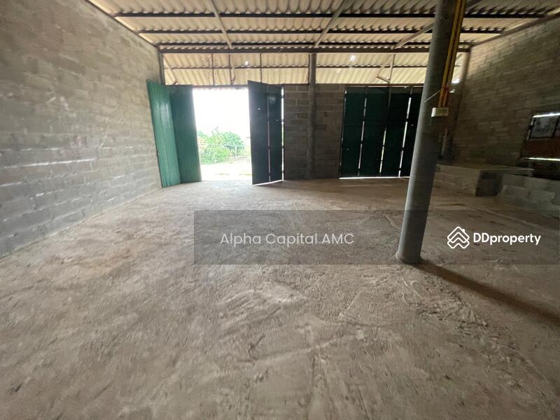 บ้านปูน 1 ชั้น L4_8_0565_G01, Lampang, Mae Thot, Thoen, Lampang, Studio, 171 sqm, Single Detached House For Sale, by วารุณี จำรูญนุรักษ์, 11427189 - DDproperty.com