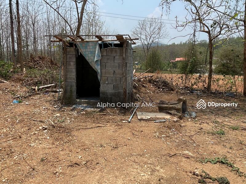 บ้านปูน 1 ชั้น L4_8_0565_G01, Lampang, Mae Thot, Thoen, Lampang, Studio, 171 sqm, Single Detached House For Sale, by วารุณี จำรูญนุรักษ์, 11427189 - DDproperty.com