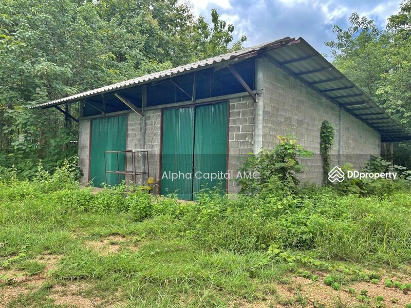 บ้านปูน 1 ชั้น L4_8_0565_G01, Lampang, Mae Thot, Thoen, Lampang, Studio, 171 sqm, Single Detached House For Sale, by วารุณี จำรูญนุรักษ์, 11427189 - DDproperty.com
