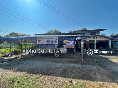 ขาย - บ้านเดี่ยว พิชัย-พรหมพิราม (117) กม.ที่ 188+700 ต.พญาแมน อ.พิชัย จ.อุตรดิตถ์ L4_1_0640_G01, อุตรดิตถ์