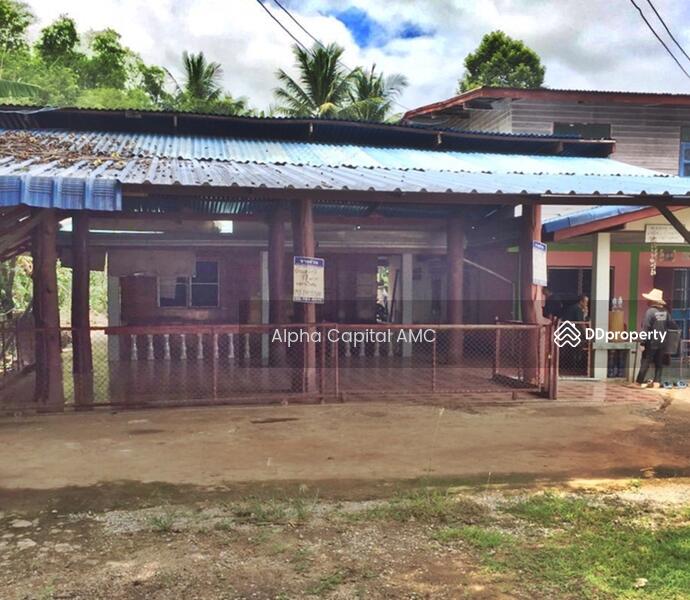 บ้านเดี่ยว พิชัย-พรหมพิราม (117) กม.ที่ 188+700 ต.พญาแมน อ.พิชัย จ.อุตรดิตถ์ L4_1_0640_G01, อุตรดิตถ์, 62 พิชัย-พรหมพิราม (117), พญาแมน, พิชัย, อุตรดิตถ์, 120 ตร.ม., บ้านเดี่ยว ขาย, โดย วารุณี จำรูญนุรักษ์, 11430155 - DDproperty.com