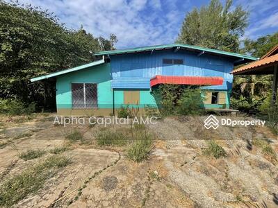 ขาย - ที่ดินพร้อมสิ่งปลูกสร้าง บ้านครึ่งตึกครึ่งไม้ 1 ชั้น อ.นาดี จ.ปราจีนบุรี L4_7_0348_G01, ปราจีนบุรี