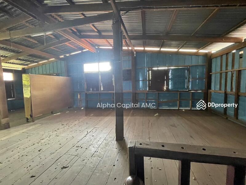 Approximately 1.45 km away from the road Kabin Buri - Nakhon Ratchasima (TorLor 304), Prachin Buri, Thung Pho, Na Di, Prachin Buri, 1 Bedroom, 314 sqm, Single Detached House For Sale, by Alpha Capital AMC, 11430334 - DDproperty.com