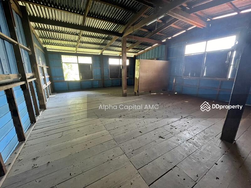 Approximately 1.45 km away from the road Kabin Buri - Nakhon Ratchasima (TorLor 304), Prachin Buri, Thung Pho, Na Di, Prachin Buri, 1 Bedroom, 314 sqm, Single Detached House For Sale, by Alpha Capital AMC, 11430334 - DDproperty.com