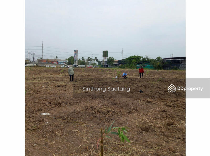 ที่ดินให้เช่า 6 ไร่เศษ ติดถนน 346 (รังสิต-ปทุมธานี) หน้ากว้าง 70 เมตร ใกล้แยกสันติสุข เมืองปทุมธานี, ปทุมธานี, ติดถนน 346 (รังสิต-ปทุมธานี), บางปรอก, เมืองปทุมธานี, ปทุมธานี, 10,424 ตร.ม., Land ให้เช่า, โดย Sirithong Saetang, 11430380 - DDproperty.com