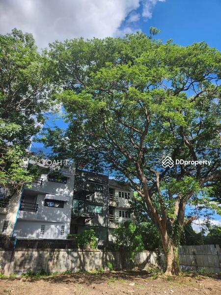 For Rent - ที่ดินให้เช่า พหลโยธิน พญาไท : Land for rent Phahonyothin Phaya Thai, Bangkok