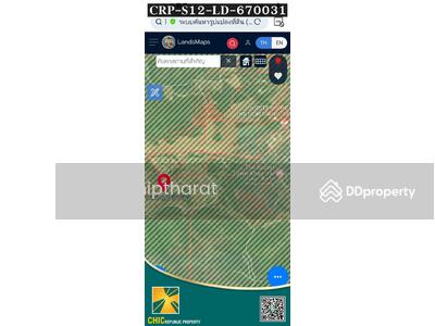 ขาย - ที่ดินแปลงสวย89 ไร่ อ.เขาใหญ่ เหมาะ สร้างหมู่บ้านLuxury,รีสอร์ท-โรงแรม วิวสวย, นครราชสีมา