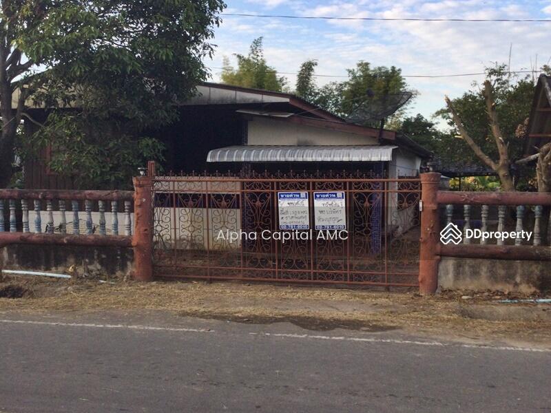 ขาย - บ้านชั้นเดียว ห่างจากถนนสายพะเยา-จุน (ทล.1021) ประมาณ 206 เมตร อ.ดอกคำใต้ จ.พะเยา L4_7_0541_G01, พะเยา