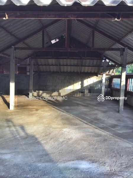 ขาย - บ้านชั้นเดียว ห่างจากถนนสายพะเยา-จุน (ทล.1021) ประมาณ 206 เมตร อ.ดอกคำใต้ จ.พะเยา L4_7_0541_G01, พะเยา