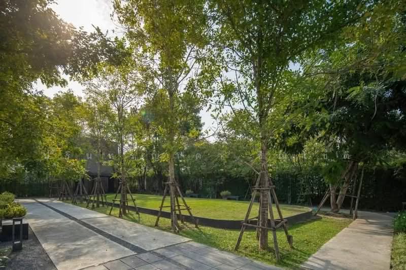 Cordiz at Udomsuk, Bangkok, Udomsuk Road, Soi 39, Bang Chak, Phra Khanong, Bangkok, 3 Bedrooms, 200 sqm, Townhouse For Rent, by ปรินทร์ญาดา ชิณโชติ, 11431630 - DDproperty.com