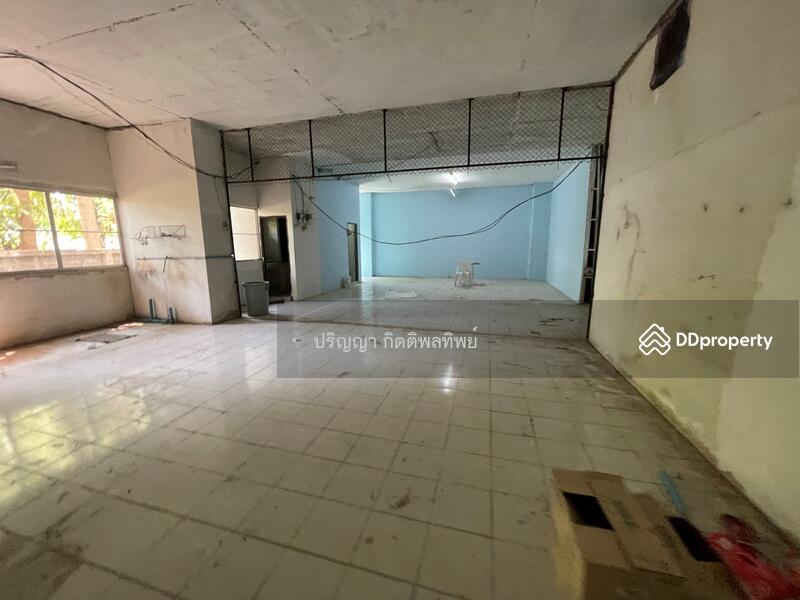 ขาย - SR Complex : เอส อาร์ คอมเพล็กซ์, เชียงใหม่
