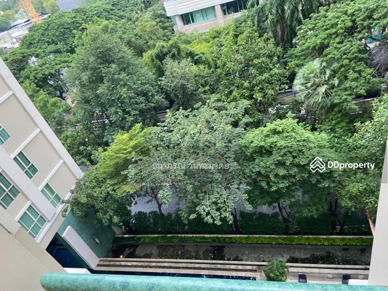 The Address Chidlom : ดิ แอดเดรส ชิดลม, กรุงเทพ, ถนนเพชรบุรี, ลุมพินี, ปทุมวัน, กรุงเทพ, 40 ตร.ม., คอนโด ให้เช่า, โดย ธนาภรณ์ วันทะมาตย์, 11433940 - DDproperty.com