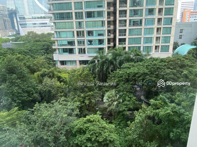 The Address Chidlom, Bangkok, Ploenchit Road, Lumphini, Pathum Wan, Bangkok, 1 Bedroom, 40 sqm, Condo For Rent, by ธนาภรณ์ วันทะมาตย์, 11433940 - DDproperty.com