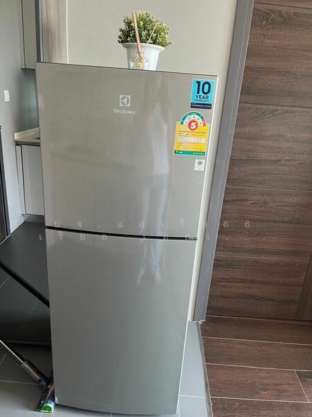 C Ekkamai, Bangkok, 888 Soi Sukhumvit 63, Sukhumvit Road, Khlong Tan Nua, Watthana, Bangkok, 1 Bedroom, 31 sqm, Condo For Sale, by AREA66 Real Estate Co.,Ltd, 11434379 - DDproperty.com