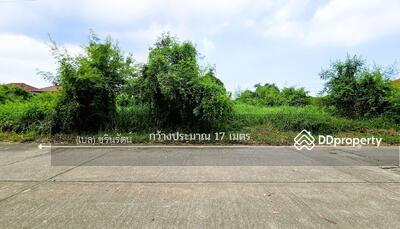 ขาย - ขายที่ดินสุวินทวงศ์ 38 ฟลอร่า วิลล์, กรุงเทพ