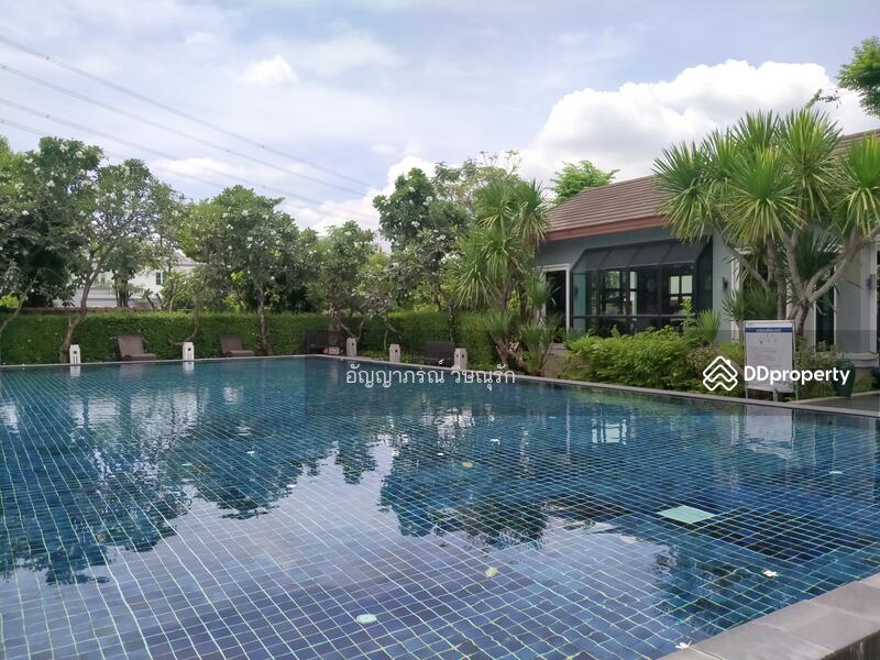 Nantawan Suanluang Rama 9 : บ้านนันทวัน สวนหลวง ร.9, กรุงเทพ, เฉลิมพระเกียรติ ร. 9 ซอย 62, ดอกไม้, ประเวศ, กรุงเทพ, 300 ตร.ม., บ้านเดี่ยว ให้เช่า, โดย อัญญาภรณ์ วิษณุรัก, 11435339 - DDproperty.com
