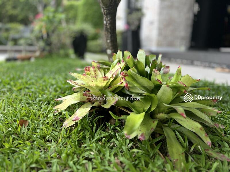 ขาย - Nantawan Pinklao-Ratchapruek : บ้านนันทวัน ปิ่นเกล้า - ราชพฤกษ์, กรุงเทพ