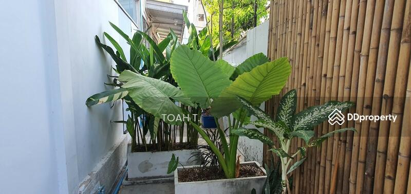 ขายที่ดิน พระโขนง สุขุมวิท : Land for sale, Phra Khanong, Sukhumvit, กรุงเทพ, พระโขนงเหนือ, วัฒนา, กรุงเทพ, 712 ตร.ม., ที่ดิน ขาย, โดย TOAH T., 11437158 - DDproperty.com