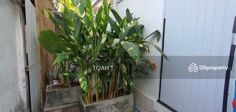 ขายที่ดิน พระโขนง สุขุมวิท : Land for sale, Phra Khanong, Sukhumvit, กรุงเทพ, พระโขนงเหนือ, วัฒนา, กรุงเทพ, 712 ตร.ม., ที่ดิน ขาย, โดย TOAH T., 11437158 - DDproperty.com