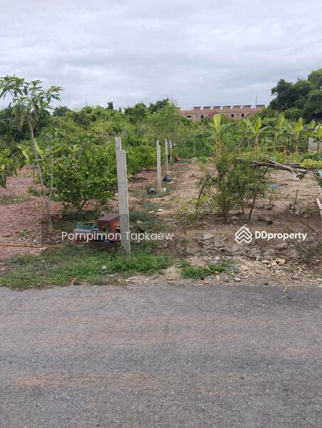 ถนนประชาอุทิศ, Bangkok, ประขาอุทิศ, Thung Khru, Thung Khru, Bangkok, , 224 sqm, Land For Sale, by Pornpimon Tapkaew, 11438138 - DDproperty.com