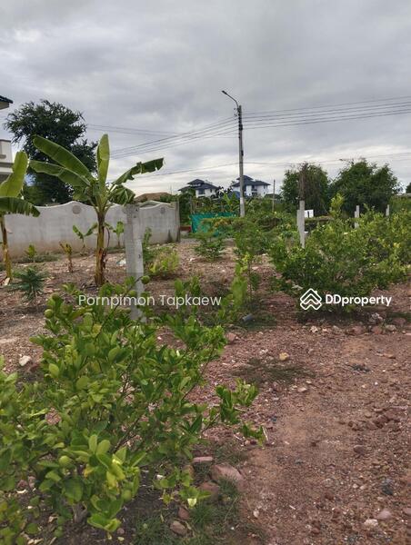 ถนนประชาอุทิศ, Bangkok, ประขาอุทิศ, Thung Khru, Thung Khru, Bangkok, , 224 sqm, Land For Sale, by Pornpimon Tapkaew, 11438138 - DDproperty.com