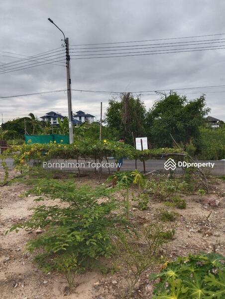 ถนนประชาอุทิศ, Bangkok, ประขาอุทิศ, Thung Khru, Thung Khru, Bangkok, , 224 sqm, Land For Sale, by Pornpimon Tapkaew, 11438138 - DDproperty.com