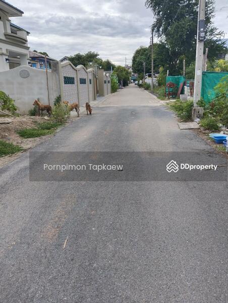 ถนนประชาอุทิศ, Bangkok, ประขาอุทิศ, Thung Khru, Thung Khru, Bangkok, , 224 sqm, Land For Sale, by Pornpimon Tapkaew, 11438138 - DDproperty.com