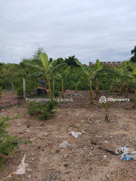 ถนนประชาอุทิศ, Bangkok, ประขาอุทิศ, Thung Khru, Thung Khru, Bangkok, , 224 sqm, Land For Sale, by Pornpimon Tapkaew, 11438138 - DDproperty.com