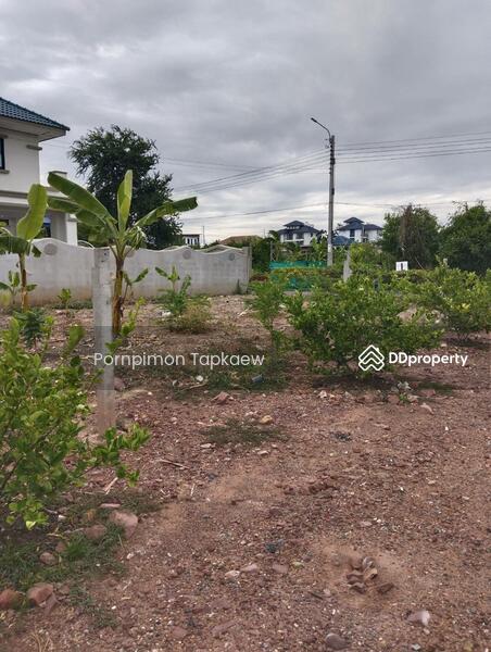 ถนนประชาอุทิศ, กรุงเทพ, ประขาอุทิศ, ทุ่งครุ, ทุ่งครุ, กรุงเทพ, 224 ตร.ม., ที่ดิน ขาย, โดย Pornpimon Tapkaew, 11438138 - DDproperty.com