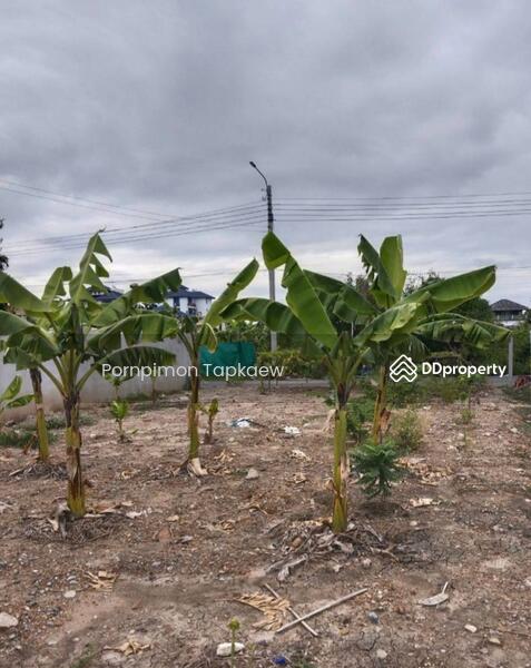ถนนประชาอุทิศ, Bangkok, ประขาอุทิศ, Thung Khru, Thung Khru, Bangkok, , 224 sqm, Land For Sale, by Pornpimon Tapkaew, 11438138 - DDproperty.com